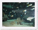 Dierentuin Burgers  Zoo 046 * 3648 x 2736 * (4.38MB)